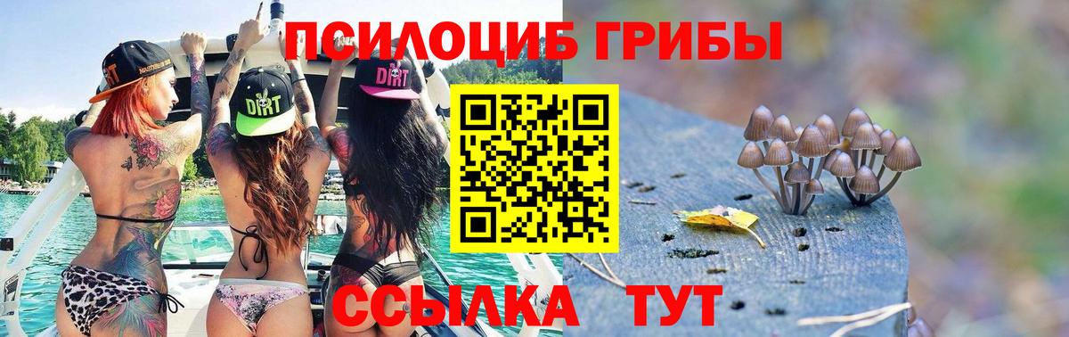 Унеча  Галлюциногенные грибы Psilocybe  Вход с VPN 